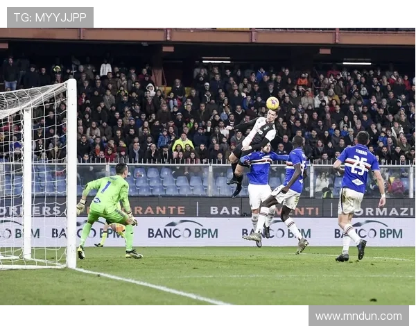 2050足球赛事（2020年足球大型赛事）sports